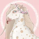 ✿ 𝑷𝒊𝒏𝒌 𝑭𝒍𝒐𝒘𝒆𝒓𝒔 𝑵𝒂𝒕𝒊𝒐𝒏 | 𝑷𝒖𝒃𝒍𝒊𝒄 𝑮𝒂𝒓𝒅𝒆𝒏 ✿
