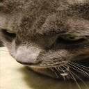 Bennethland Discord server icon