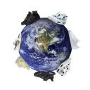 Repworld
