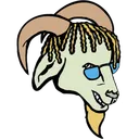 ZOATED 🐐