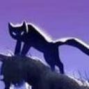 Server Icon