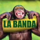 La Banda 🍌 Thunderstrike