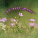 Touch flowers (idk what to name this)