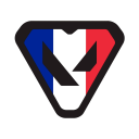 Discovery icon for Valorant Mobile France Discord server