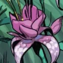 𝐗-𝐌𝐄𝐍: 𝐍𝐞𝐰 𝐊𝐫𝐚𝐤𝐨𝐚 ❀