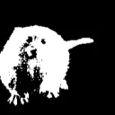 Marmoset Productions