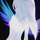 /shikimori • unknown — Discord Server