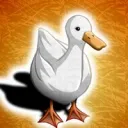 Team Pato