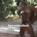 Servidor de el Pachi
