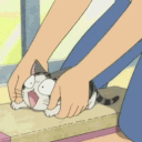 ✧ asmr cat cafe  ₍^. .^₎⟆ ♡