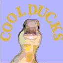 CoolDucks—Общение и Игры