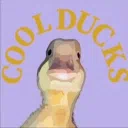 CoolDucks—Общение и Игры