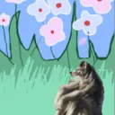 ابيوسااه Discord server icon