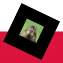 ROBLOX POLSKA  | CPBI