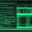 Terminal Official Server