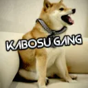 #KabosuGang