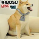 Server icon for KABOSU GANG #BOOST US