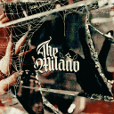 The Milano 𓆩✧𓆪