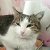 минитмены