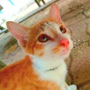 Tempat Gabut Discord server icon