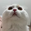 ゆーかりのサバ缶