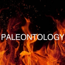PaleontoCommunity🦴 Discord server icon