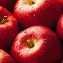 Apfel Network