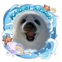 𝑲𝒂𝒊𝒐𝒔𝒆𝒊 𝑺𝒆𝒊𝒔𝒉𝒊𝒏 𝑲𝒂𝒓𝒂𝒕𝒆 • 𝑵𝑨/𝑬𝑼