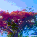 ● ○・*autumn* ● chat ● vc ● bots ● active staff ● stickers and emojis・○ ● Discord server icon