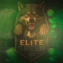 Elite Green! 🎯🏆