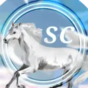 𝙎𝙠𝙮 𝘾𝙞𝙧𝙘𝙪𝙨 𝙊𝙎