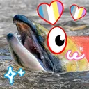 Norwegian Salmon ATM