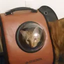 Mission Kontrol