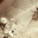 𖡻 ✉ ◌ 𓈒 🪽 CH aca...