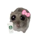 Jin's Rats