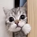 @k@d3m1k discord icon