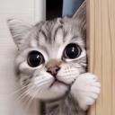 https://cdn.discordapp.com/icons/1365623435631267880/8c2cfa63efeb820095d0bc5ecb3736f8.jpg?size=128