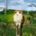 The Lagoon Discord server icon