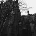 ﾟ ﾟ Blackthorne Hollow ༒ ﾟ⊰ Discord Server Icon