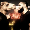 THE FIGHTING CAMELS🐪