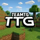 TeamTG | Infection