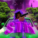 STK (SHOOT TO KILL)