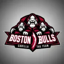 Boston Bulls Hub