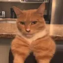 Mewing server 🤫🧏 Discord server icon