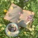 𐔌 🌿  .  ⋮  epeolatry  ֹ   ₊ ꒱🍓