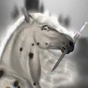 White Knights Dressage