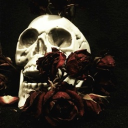 Morgue Discord server icon