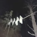 ( Cerrado )  Ghosteados.com