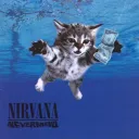 Nirvana Slts Asia
