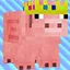 Pig Border SMP